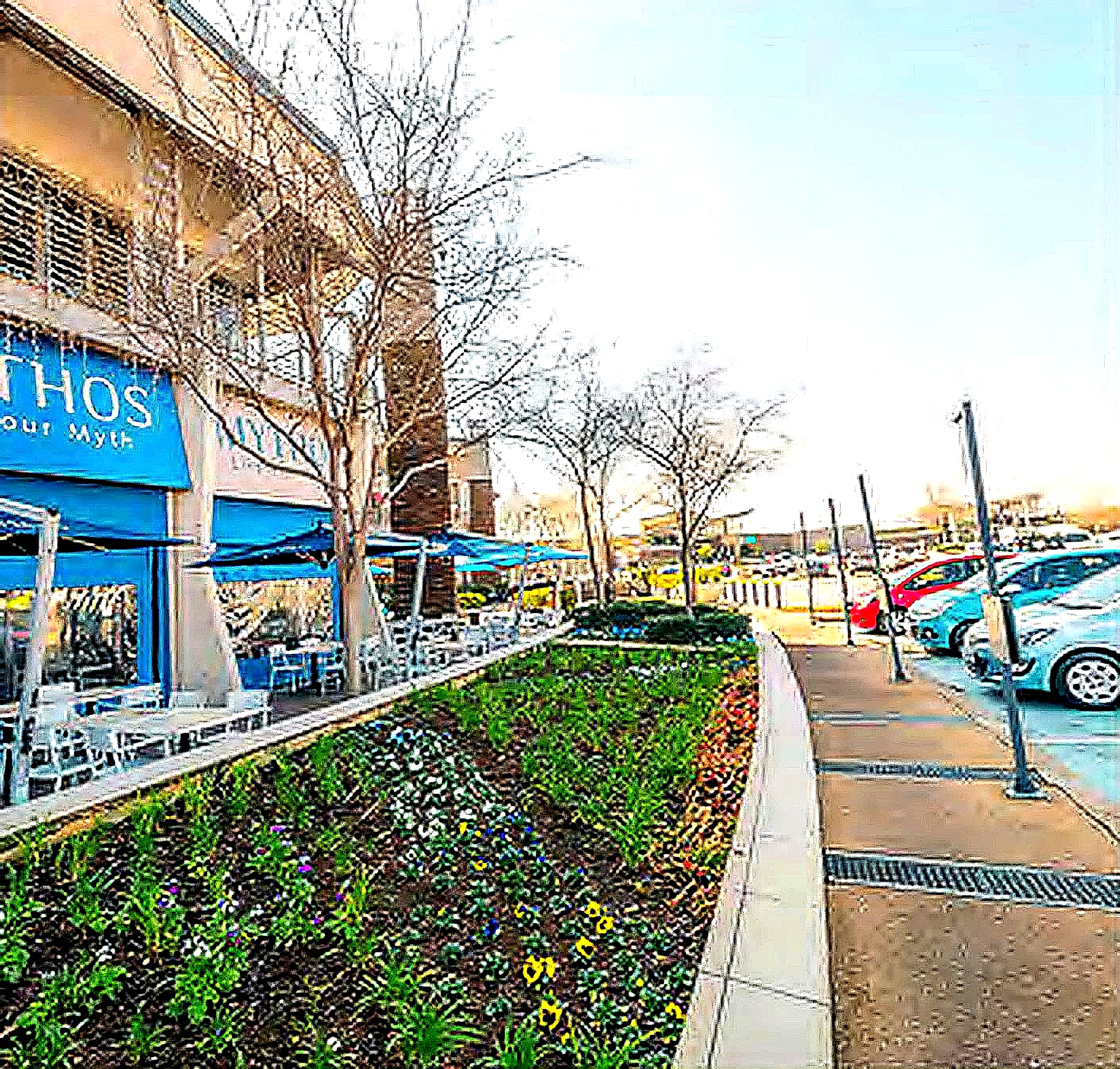 The storefront walkway with trees and planters outside the mall
